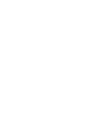 cialdeincittashop.it